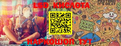 мяу мяу мука Моздок