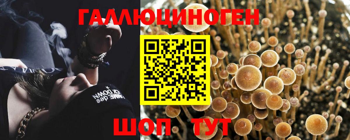 Галлюциногенные грибы Cubensis  Вход с VPN  купить наркоту  Выкса 